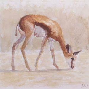 The Springbok Painting